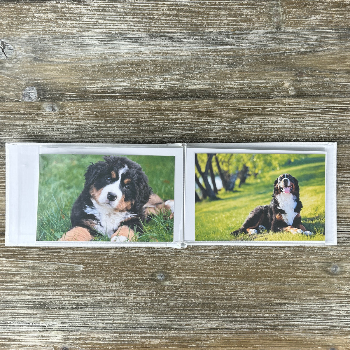 Grand Dog photo album laying open on a table.