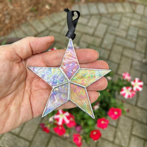 6 of 8:Iridescent star being held in hand.